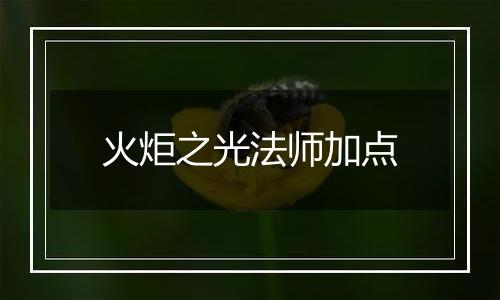 火炬之光法师加点