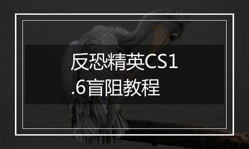 反恐精英CS1.6盲阻教程