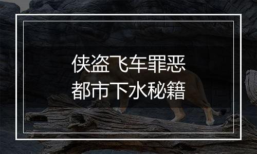 侠盗飞车罪恶都市下水秘籍