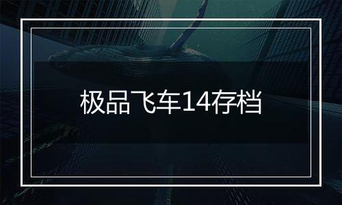 极品飞车14存档