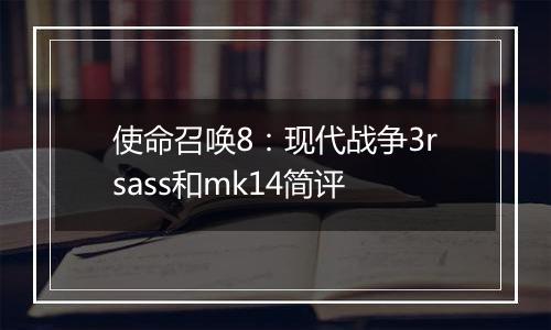 使命召唤8：现代战争3rsass和mk14简评