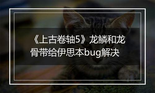 《上古卷轴5》龙鳞和龙骨带给伊思本bug解决