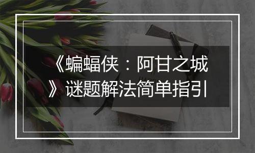 《蝙蝠侠：阿甘之城》谜题解法简单指引