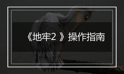 《地牢2 》操作指南