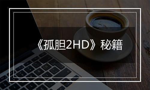 《孤胆2HD》秘籍