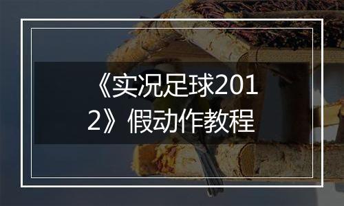 《实况足球2012》假动作教程