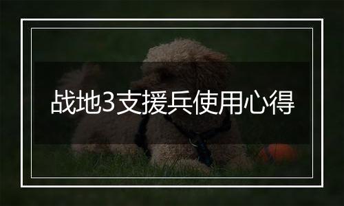 战地3支援兵使用心得