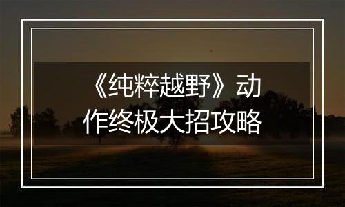 《纯粹越野》动作终极大招攻略