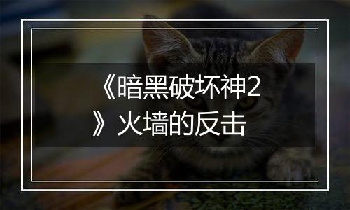 《暗黑破坏神2》火墙的反击