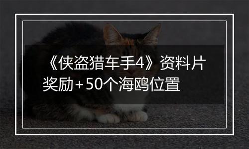 《侠盗猎车手4》资料片奖励+50个海鸥位置