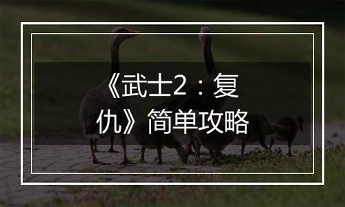 《武士2：复仇》简单攻略