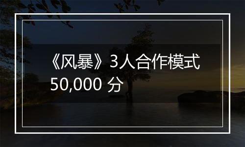 《风暴》3人合作模式 50,000 分