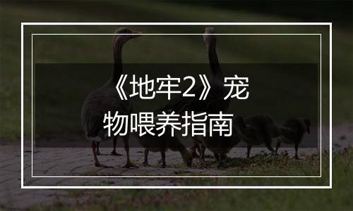 《地牢2》宠物喂养指南