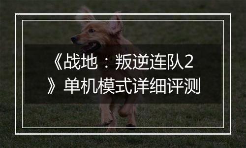 《战地：叛逆连队2》单机模式详细评测