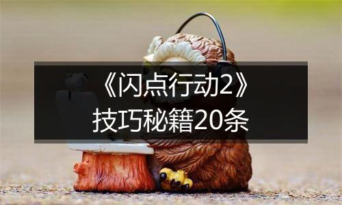 《闪点行动2》技巧秘籍20条