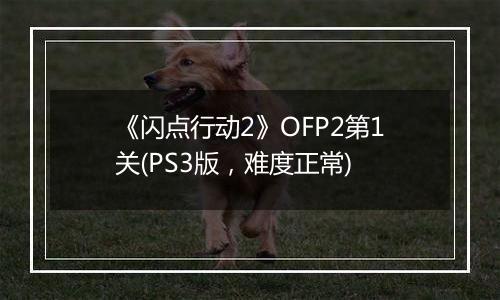 《闪点行动2》OFP2第1关(PS3版，难度正常)