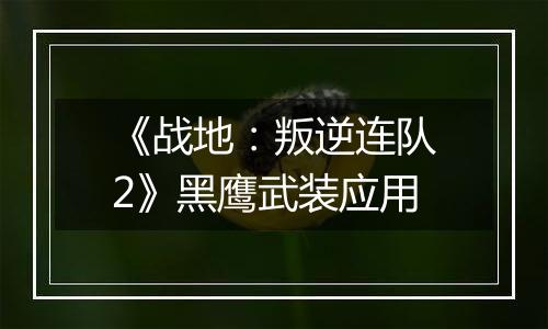 《战地：叛逆连队2》黑鹰武装应用