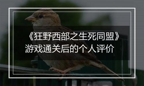 《狂野西部之生死同盟》游戏通关后的个人评价