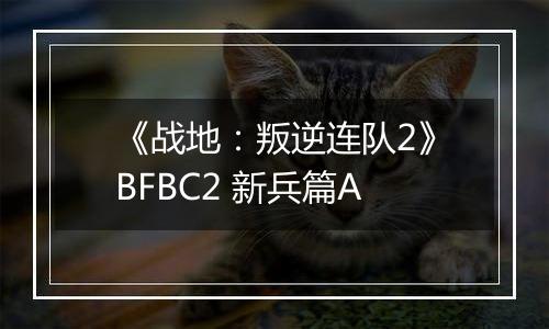 《战地：叛逆连队2》BFBC2 新兵篇A