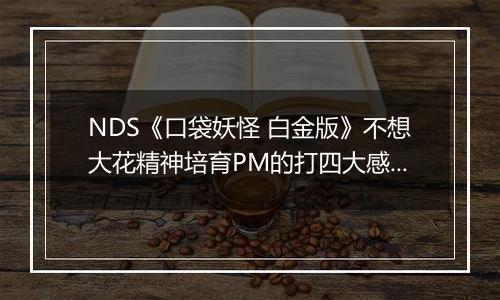 NDS《口袋妖怪 白金版》不想大花精神培育PM的打四大感想