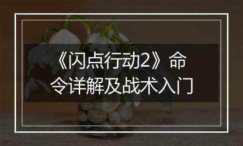 《闪点行动2》命令详解及战术入门