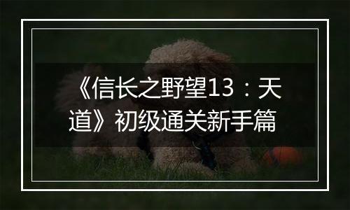 《信长之野望13：天道》初级通关新手篇
