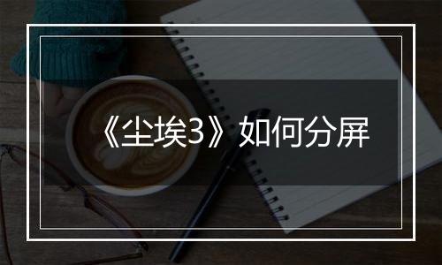 《尘埃3》如何分屏