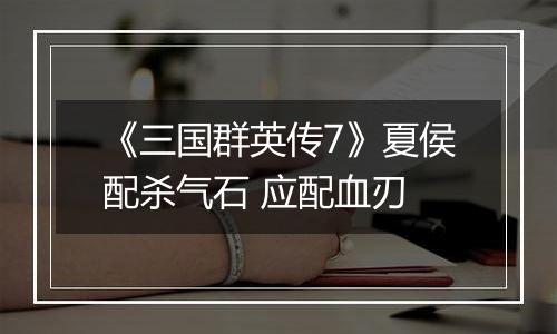 《三国群英传7》夏侯配杀气石 应配血刃