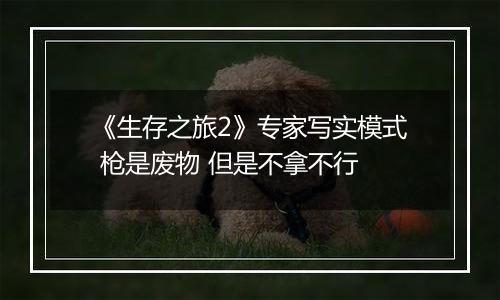 《生存之旅2》专家写实模式 枪是废物 但是不拿不行