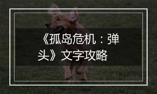 《孤岛危机：弹头》文字攻略