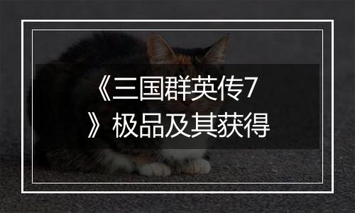 《三国群英传7》极品及其获得