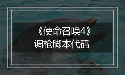 《使命召唤4》调枪脚本代码