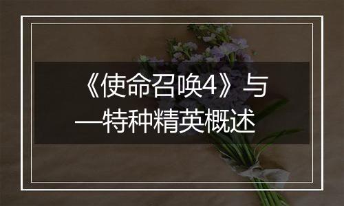 《使命召唤4》与—特种精英概述