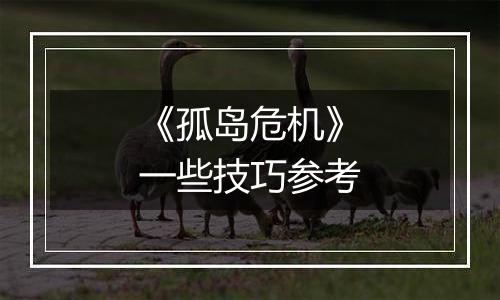 《孤岛危机》一些技巧参考