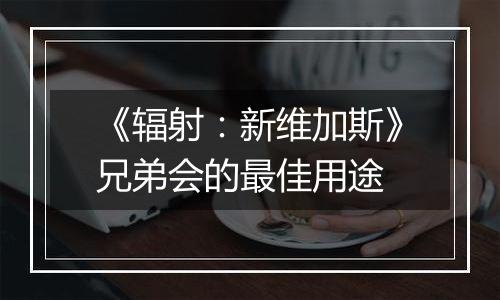 《辐射：新维加斯》兄弟会的最佳用途