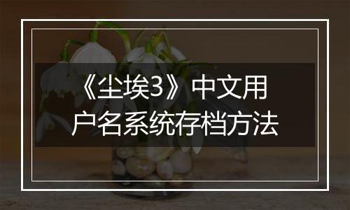 《尘埃3》中文用户名系统存档方法