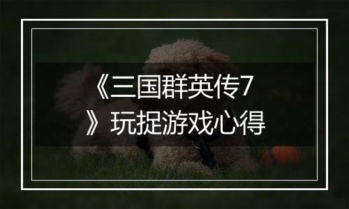 《三国群英传7》玩捉游戏心得