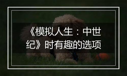 《模拟人生：中世纪》时有趣的选项