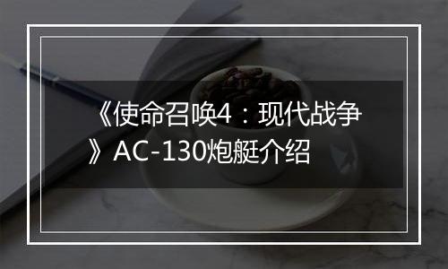 《使命召唤4：现代战争》AC-130炮艇介绍