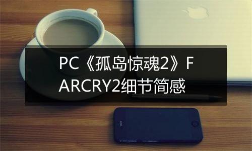 PC《孤岛惊魂2》FARCRY2细节简感
