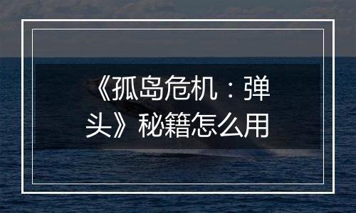 《孤岛危机：弹头》秘籍怎么用