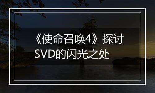 《使命召唤4》探讨 SVD的闪光之处