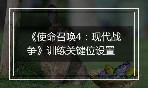 《使命召唤4：现代战争》训练关键位设置