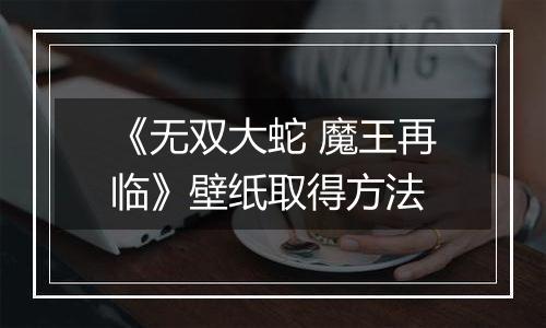 《无双大蛇 魔王再临》壁纸取得方法