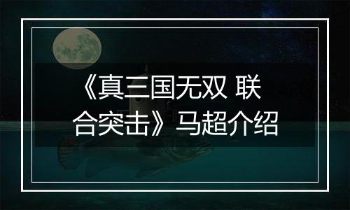 《真三国无双 联合突击》马超介绍