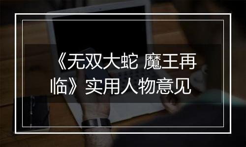 《无双大蛇 魔王再临》实用人物意见