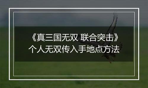 《真三国无双 联合突击》个人无双传入手地点方法