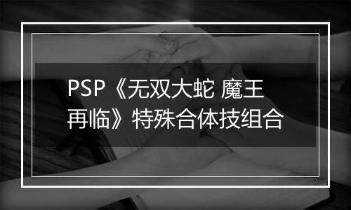 PSP《无双大蛇 魔王再临》特殊合体技组合