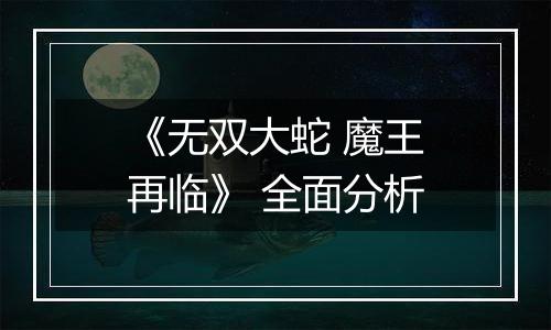 《无双大蛇 魔王再临》 全面分析
