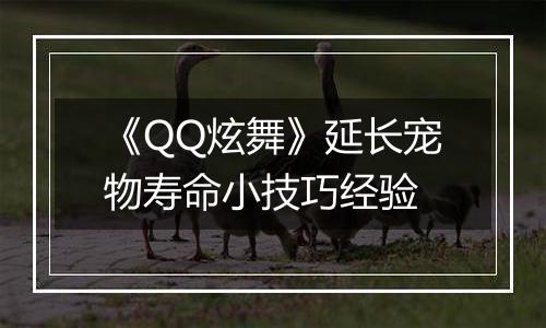 《QQ炫舞》延长宠物寿命小技巧经验